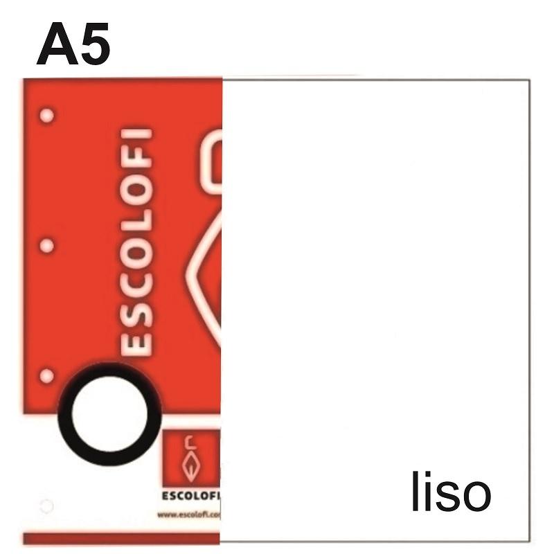 RECAMBIO DINA5 LISO 100H 70GR 11 TALADROS  ESCOOLFI