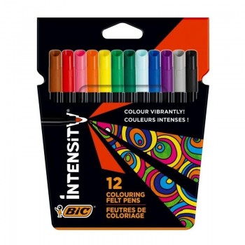 ROTULADORES ESTUCHE DE 12 COLORES BIC COLOR UP