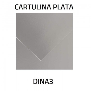 CARTULINA IRIS CANSON DINA3 PLATA 40185GR C200005823