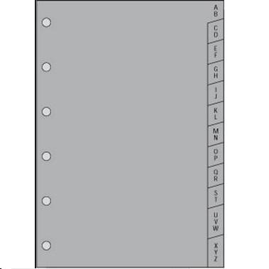 RECAMBIO ANUAL CLASSIC C261-INDICE AZ/12 PLASTICO 602