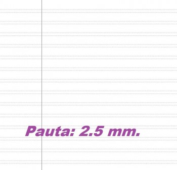 CUADERNO ESPIRAL PAUTA 2,5MM FOLIO 80 HOJAS TAPA PLASTICO CON MARGEN ENRI 400133586