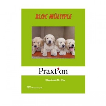 BLOCK DE MANUALIDADES MULTIPLE PRAXTON