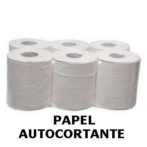 PAPEL SECAMANOS PACK 6UDS ECOLABEL 2 CAPAS 180M 11073