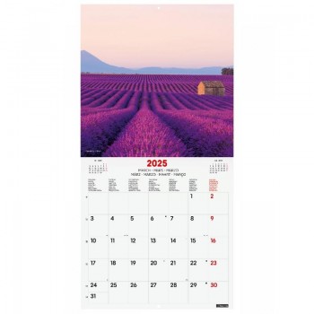 CALENDARIO PARED 30X30 2025 TRAVELING INTERNACIONAL