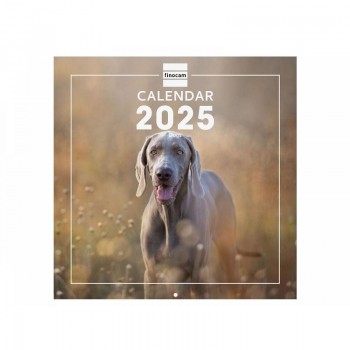 CALENDARIO PARED 30X30 2025 DOGS INTERNACIONAL