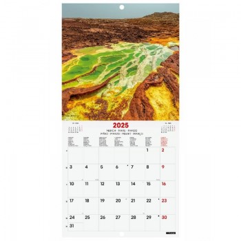 CALENDARIO PARED 18X18 2025 NATURE INTERNACIONAL