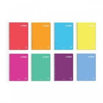 CUADERNO ESP DINA5 LINEAS PPP 80H PACSA